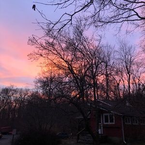 Meet your Posher, Madeline